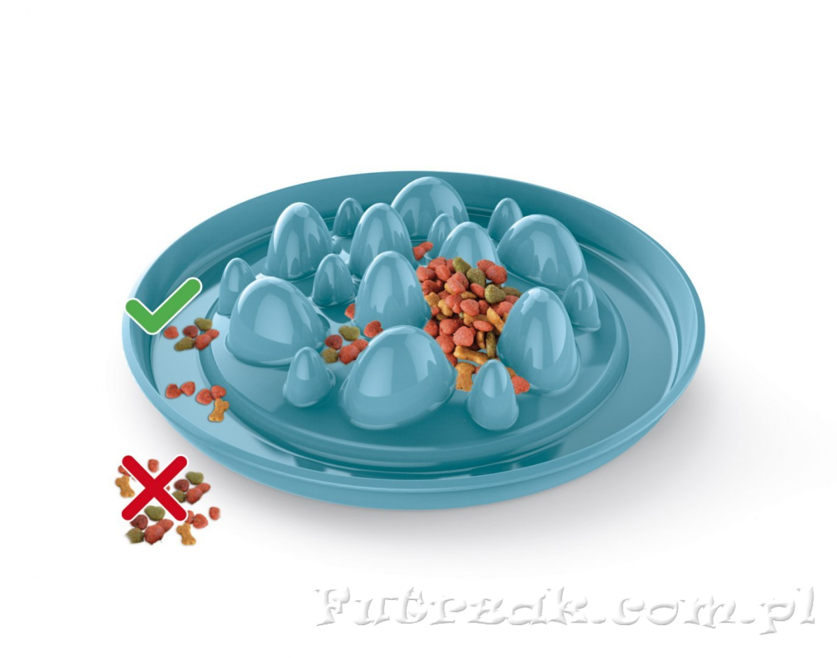 Miska Cactus Slow Food/niebieska Miska Cactus Slow Food/niebieska
