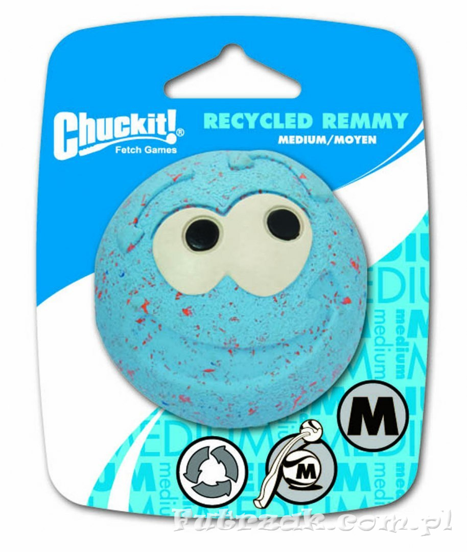 Recycled Remmy Recycled Remmy