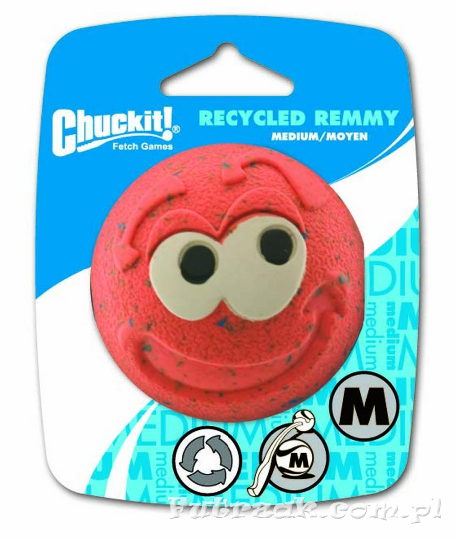 Recycled Remmy Recycled Remmy
