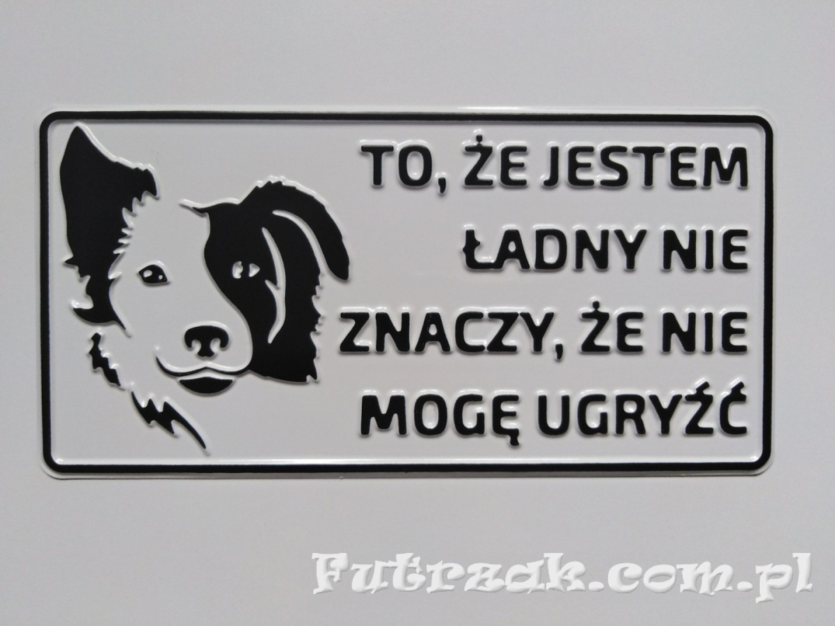 Tabliczka ostrzegawcza, metalowa-"TO, ŻE JESTEM..." Tabliczka ostrzegawcza, metalowa-"TO, ŻE JESTEM..."