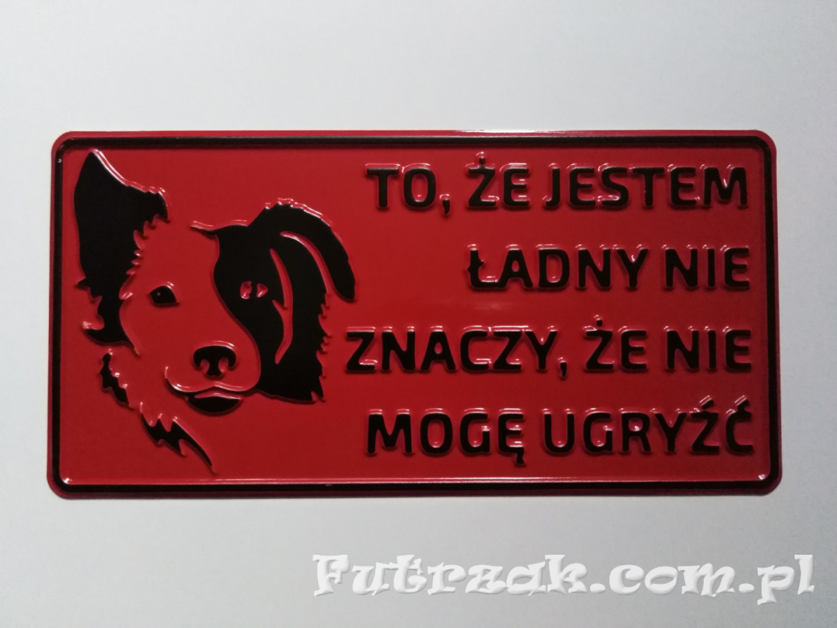Tabliczka ostrzegawcza, metalowa-"TO, ŻE JESTEM..." Tabliczka ostrzegawcza, metalowa-"TO, ŻE JESTEM..."