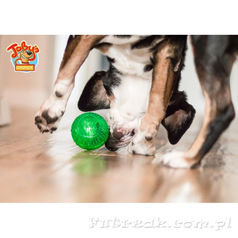 Treat Ball-piłka na przysmaki Treat Ball-piłka na przysmaki