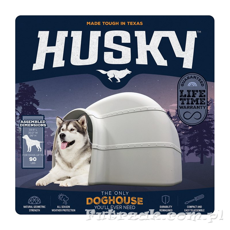 HUSKY BUDA HUSKY BUDA