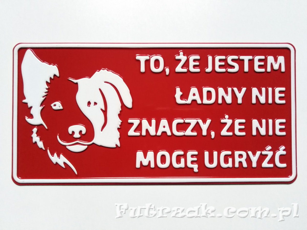 Tabliczka ostrzegawcza, metalowa-"TO, ŻE JESTEM..." Tabliczka ostrzegawcza, metalowa-"TO, ŻE JESTEM..."