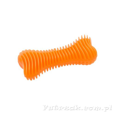 Kość gryzak dentystyczny nr.3 Kość gryzak dentystyczny nr.3