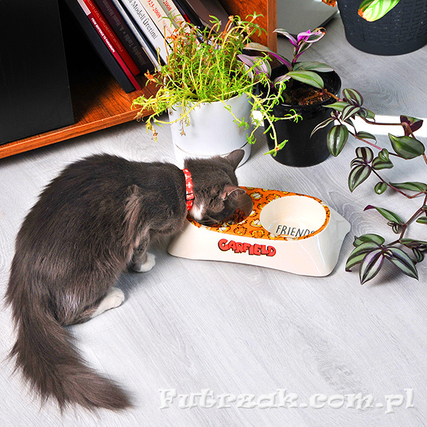 Miska podwójna z melaminy Garfield&Oddie 6501 Miska podwójna z melaminy Garfield&Oddie 6501