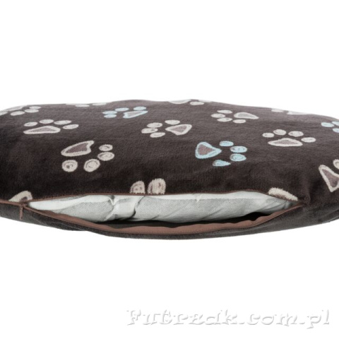 Poduszka Jimmy 80x50 cm TX-37332 Poduszka Jimmy 80x50 cm TX-37332