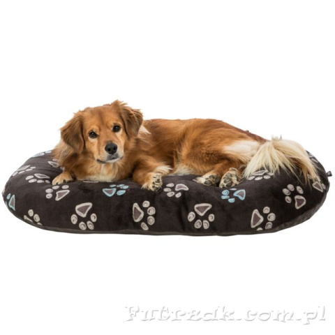 Poduszka Jimmy 80x50 cm TX-37332 Poduszka Jimmy 80x50 cm TX-37332