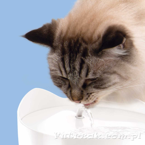 Catit Pixi Fountain biała fontanna dla kota Catit Pixi Fountain biała fontanna dla kota
