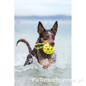 Fetch Tug
