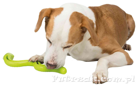 Wąż na smakołyki Snack-Snake TX-34949 Wąż na smakołyki Snack-Snake TX-34949