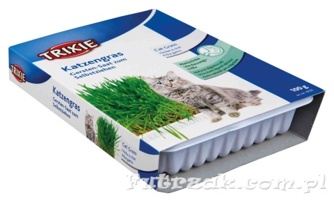 Trawa dla kota w pojemniku TX-4235