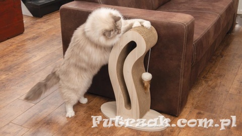 Pixi Scratcher Tail-drapak dla kota