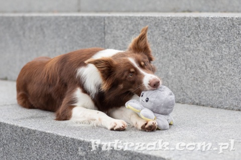 Ośmiornica zabawka pluszowa dla psa dwustronna TRIXIE-35928
