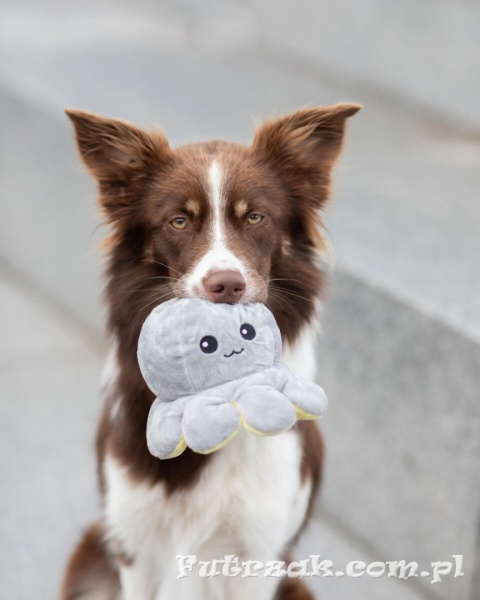 Ośmiornica zabawka pluszowa dla psa dwustronna TRIXIE-35928