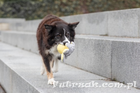 Ośmiornica zabawka pluszowa dla psa dwustronna TRIXIE-35928