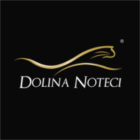 Dolina Noteci