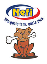 Nefi